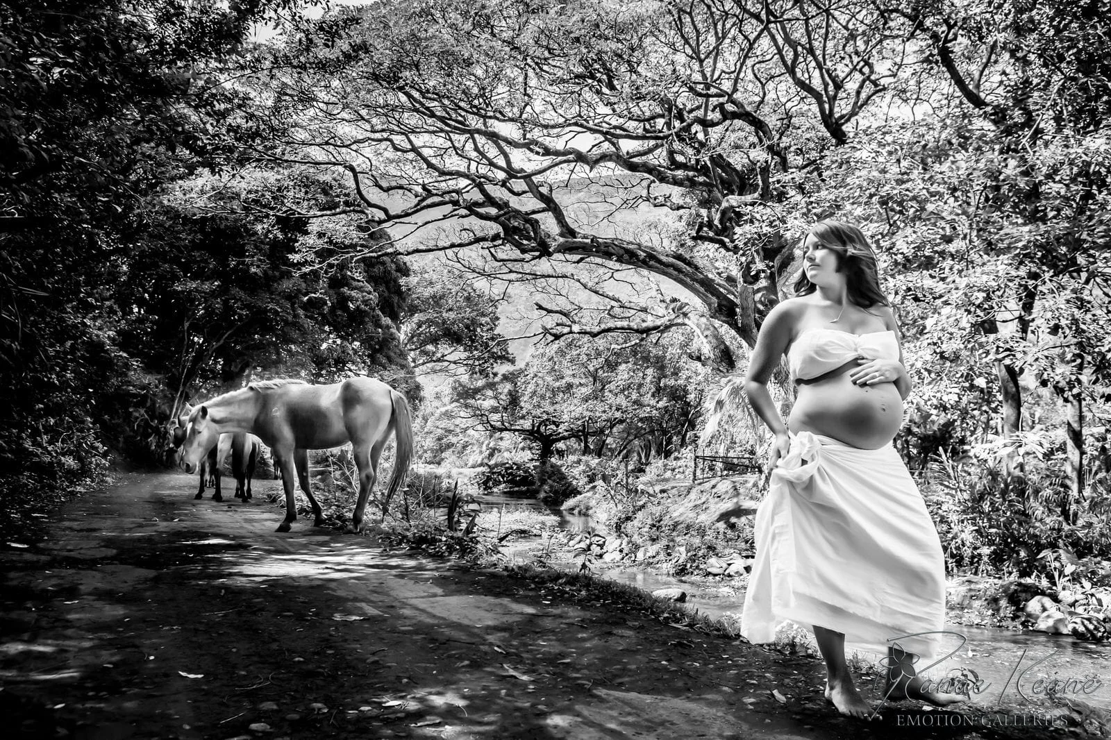 Big-Island-Maternity-Photographer-Luxury-Timeless-Hawaii-22.jpg