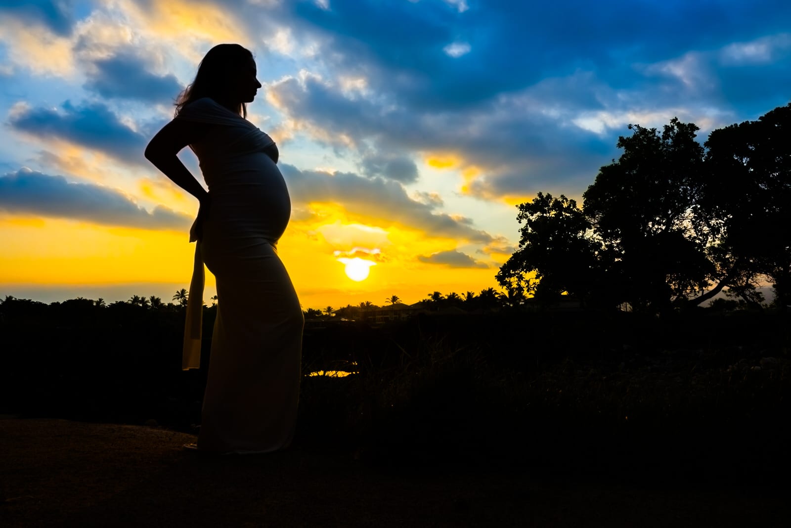 Big-Island-Maternity-Photographer-Silhouette-Hawaii.jpg