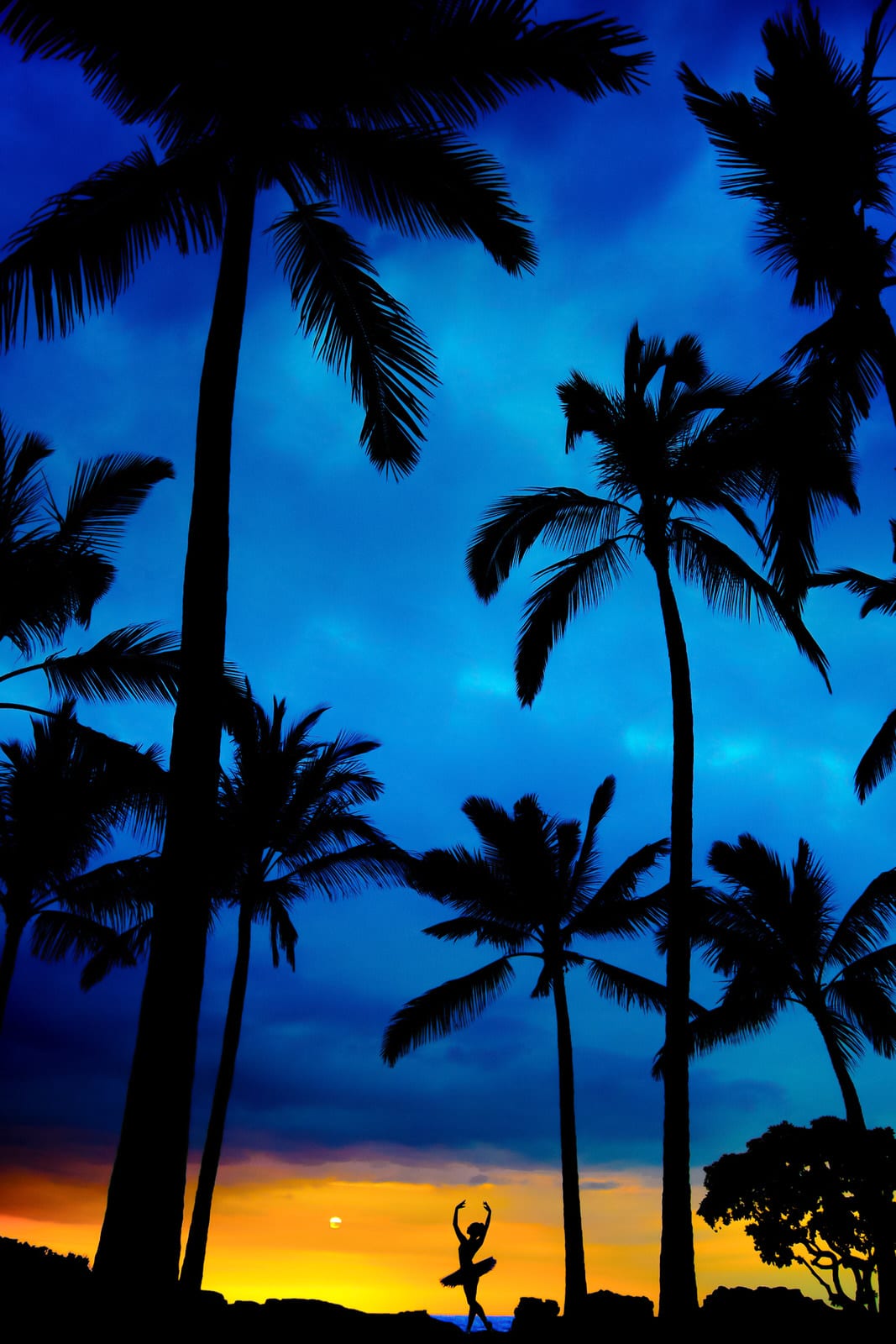 Dancer-Hawaii-Professional-Photographer-Palm-Trees-Sunset-Ballet-Silhouette.jpg