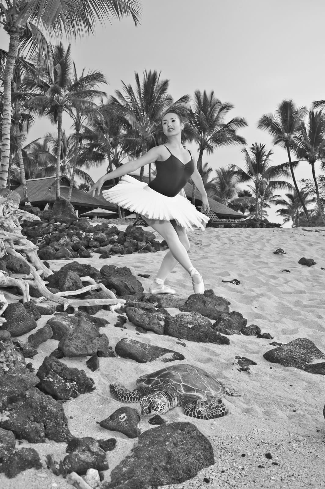 Hawaii-Ballet-Dancer-Classic-Portraits-Beach-Photographer.jpg