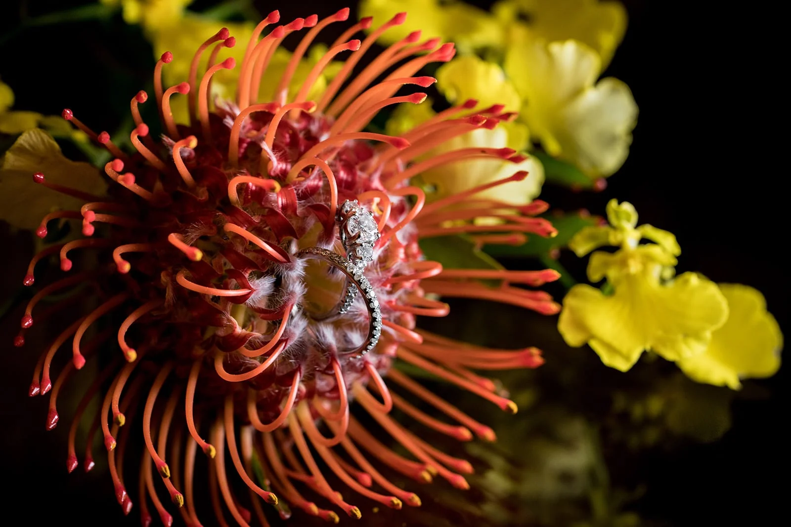 Hawaii-Wedding-Photographer-Ring-Details-Engagement-Ring-Off-camera-flash-macro-yellow-orchid-orange-protea.jpg