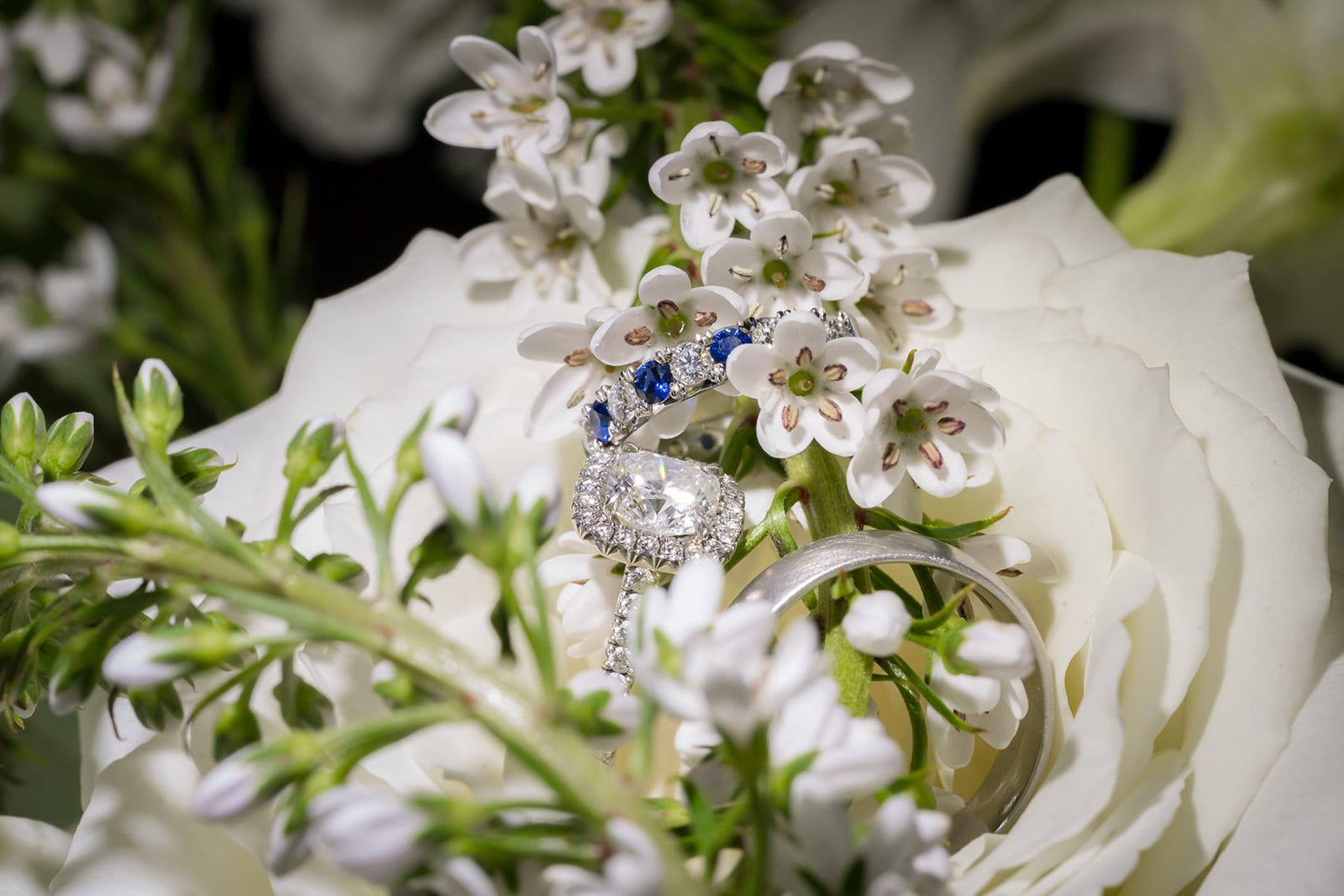 sapphire-diamond-square-cur-delicate-pretty-wedding-engagement-ring-photograph