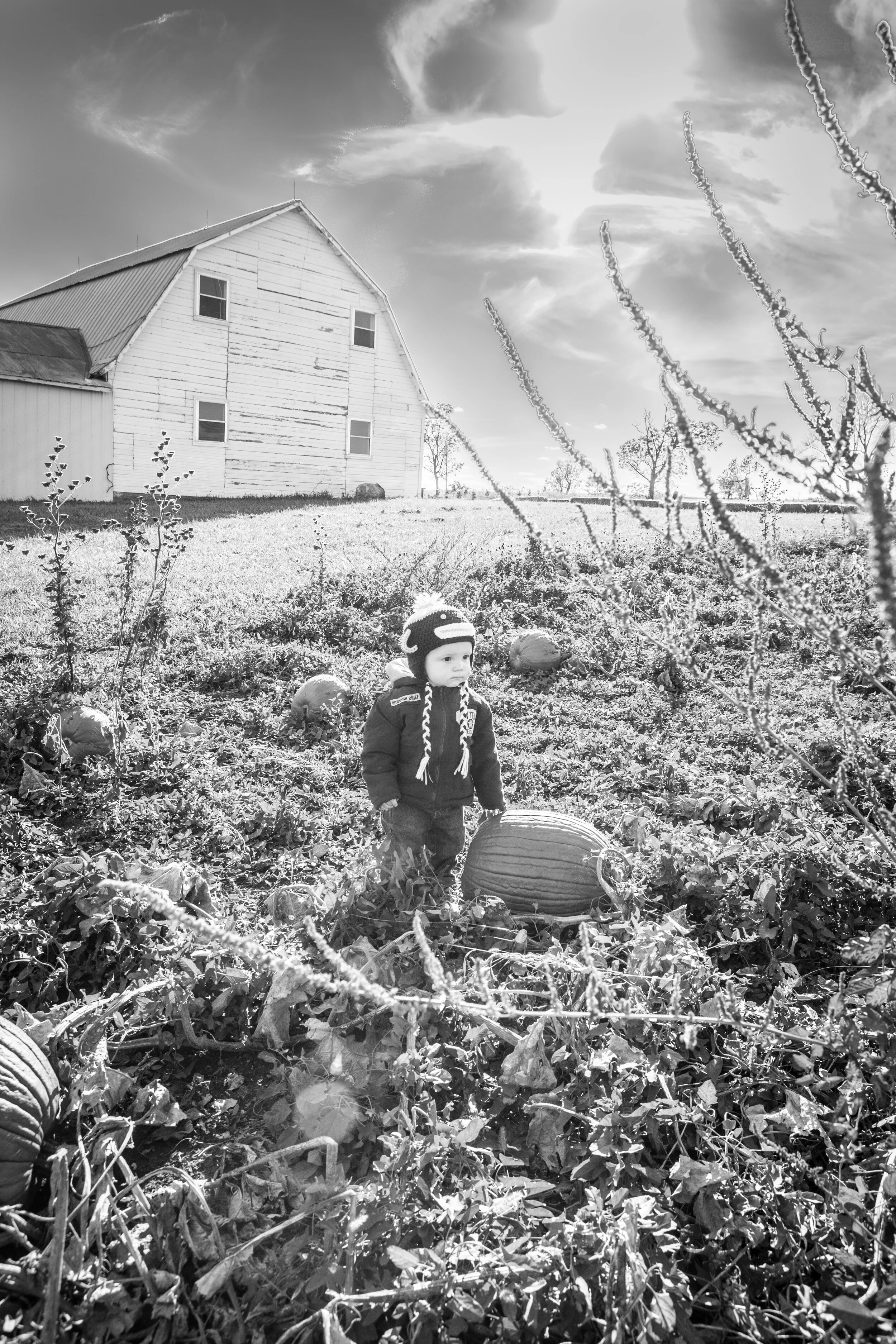 farm-toddler-fall-pumpkin-patch-little-boy- Photography by Ranae Keane.jpg
