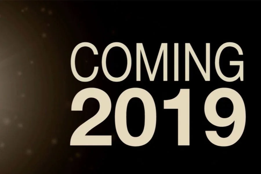 Transitional Musings: January