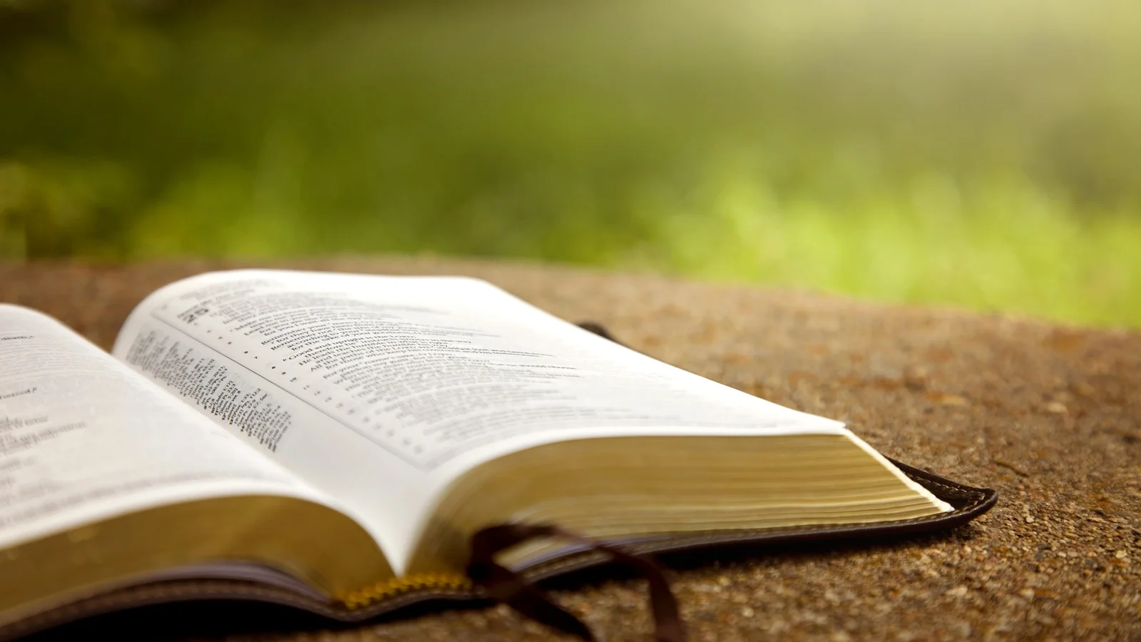 Conversations On Religion &amp; Culture