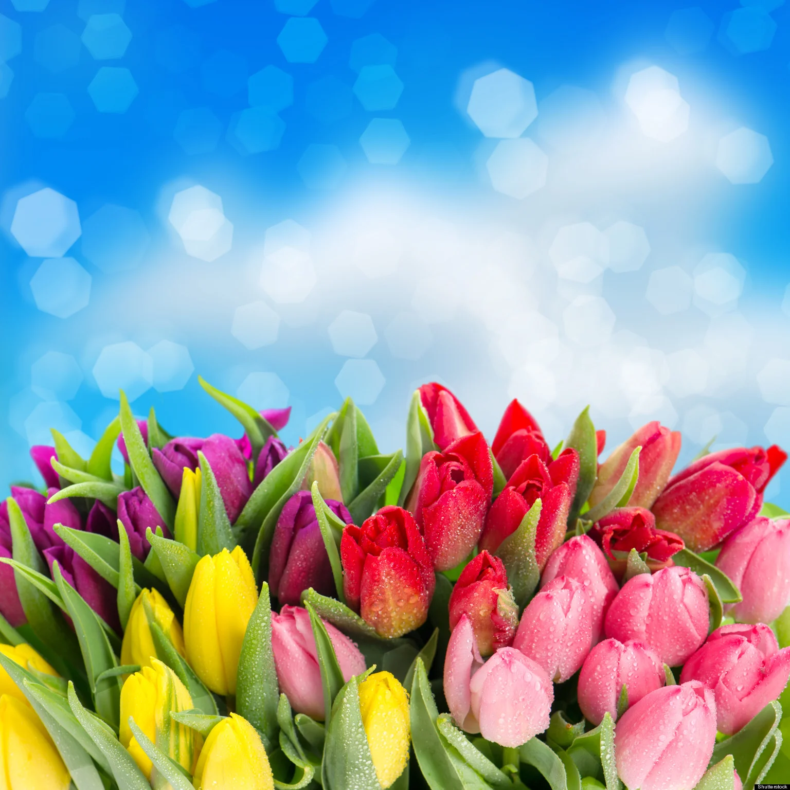 Holy Week &amp; Easter Services