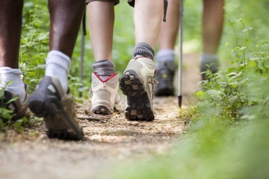 Health &amp; Wellness Ministry In March