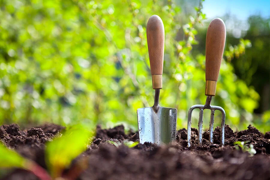 The Best Place To Find God Is In A Garden