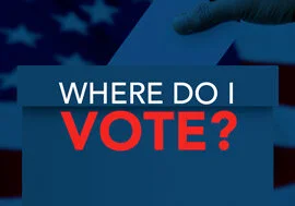 How Do I Vote This Election?