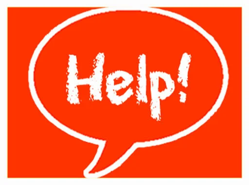 Open Director Position &amp; Volunteers Needed At MSP