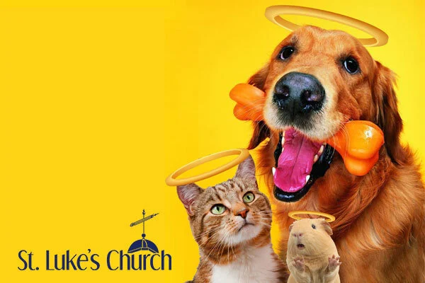 Blessing Of The Animals