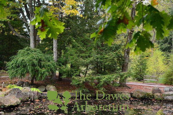 Hiking The Vespers At Dawes Arboretum