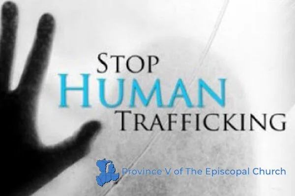 Anti-Human Trafficking: Online Course