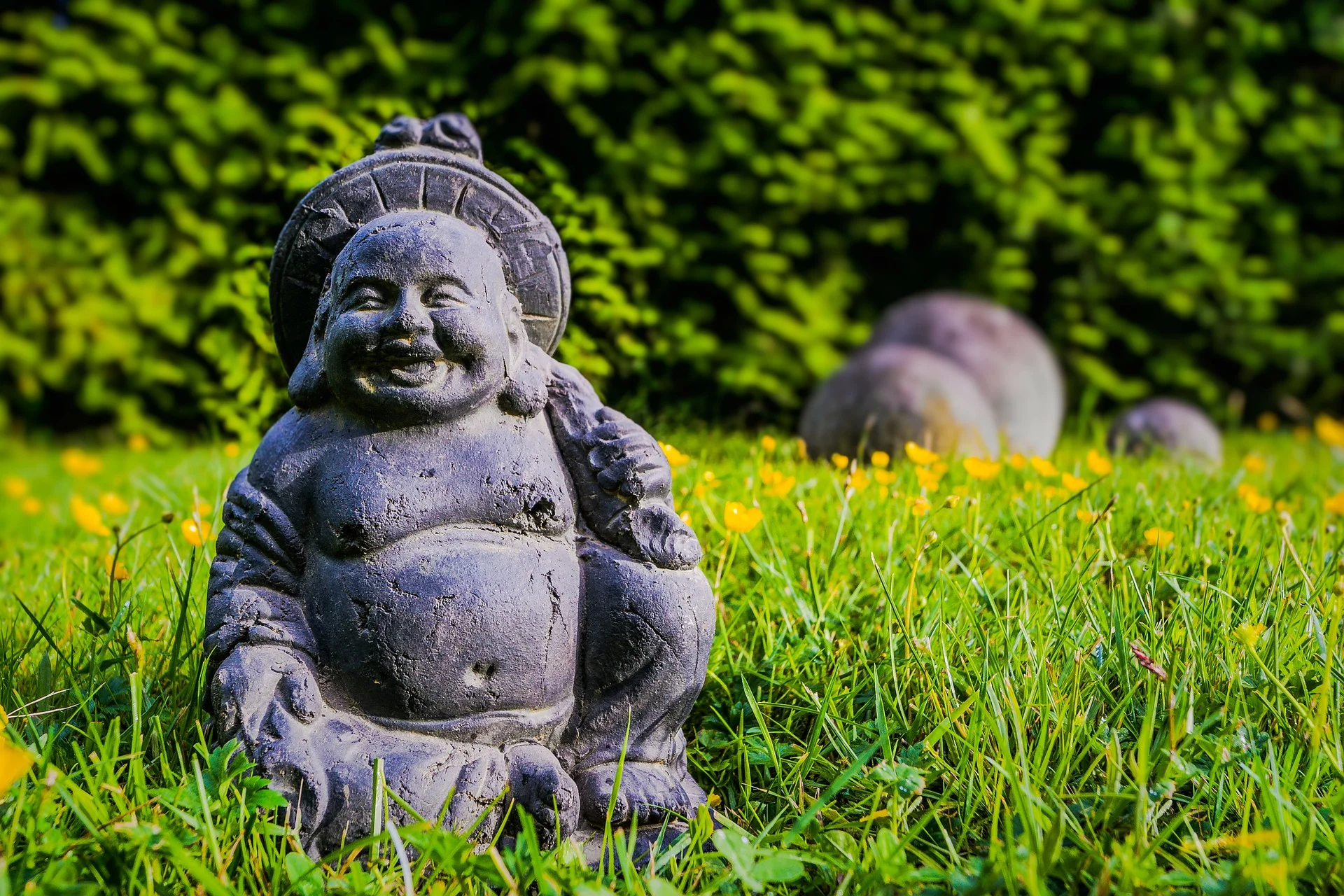 buddha-focus-185387_1920.jpg