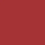 Navitas red.jpg