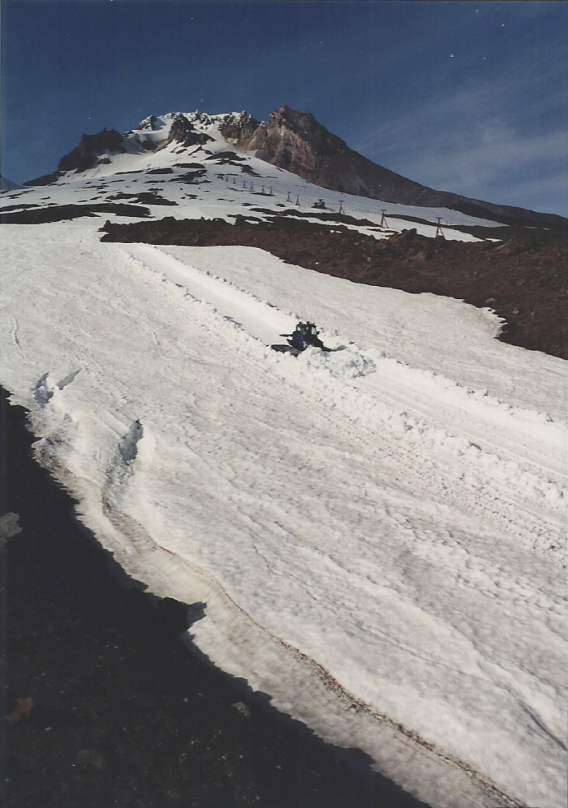 1990 1st Cut.jpg