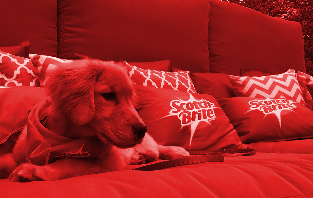 Scotch-Brite4 copy.jpg