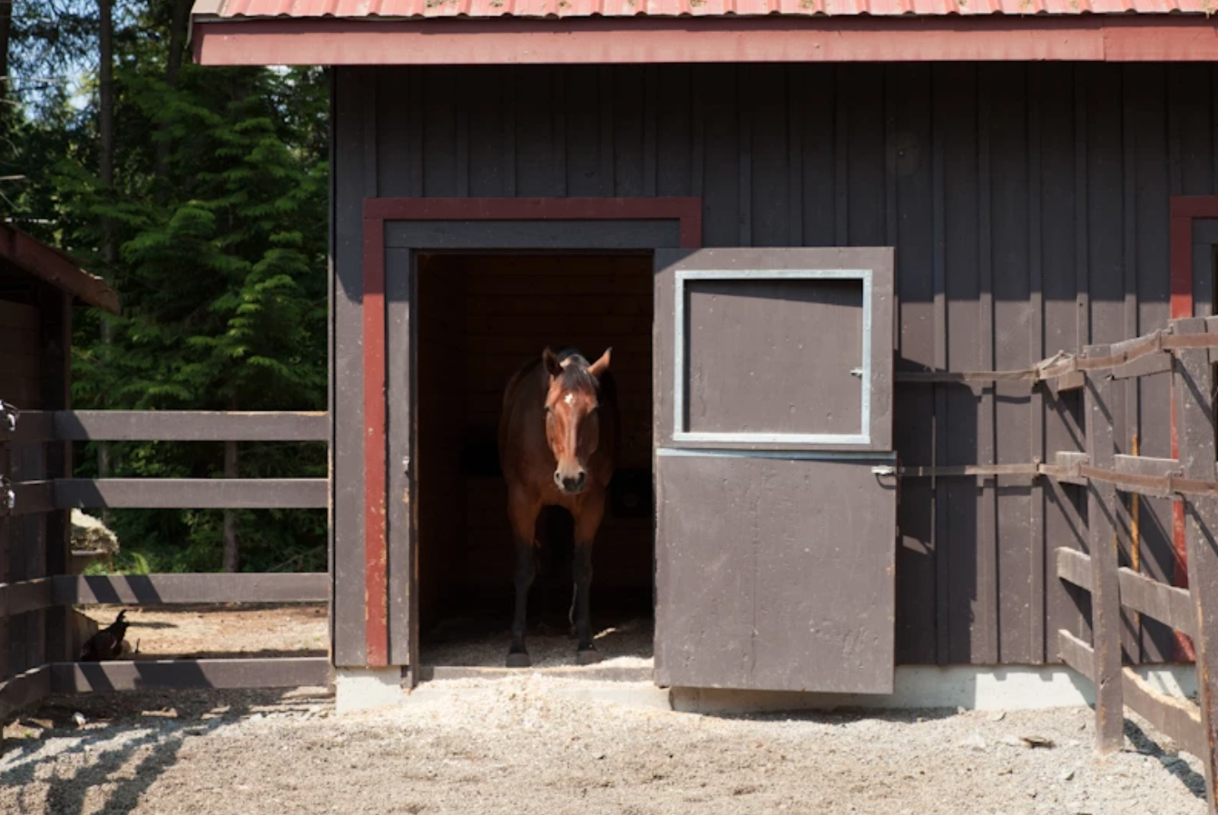 Screen Shot 2020-08-07 at 8.14.40 PM.png