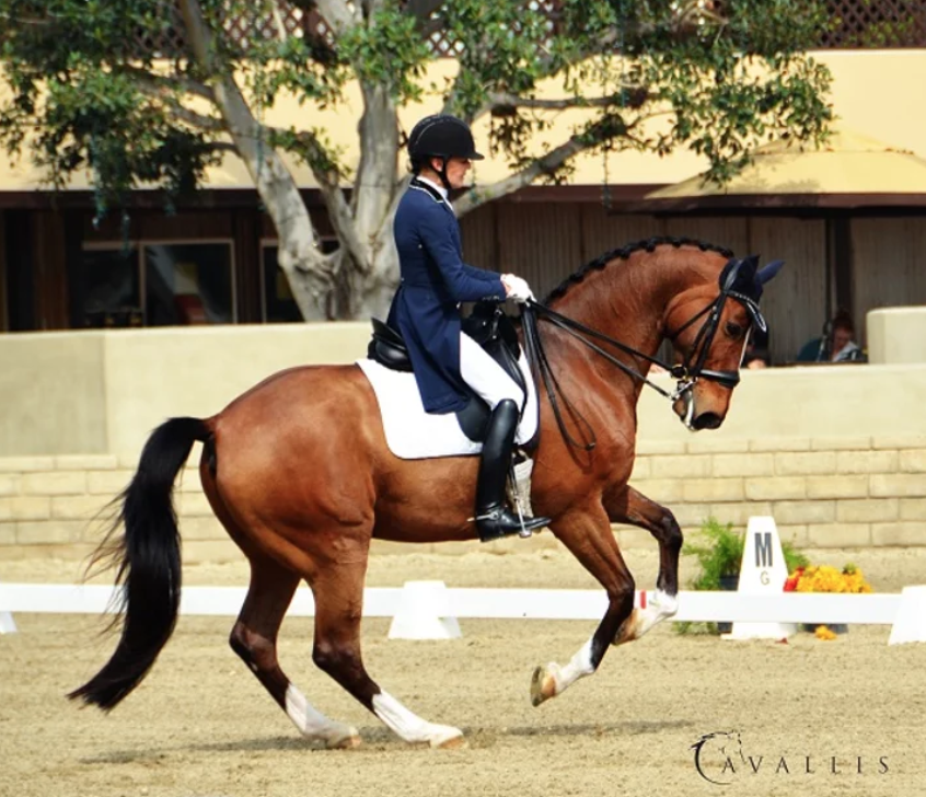 Screen Shot 2020-08-07 at 8.31.45 PM.png