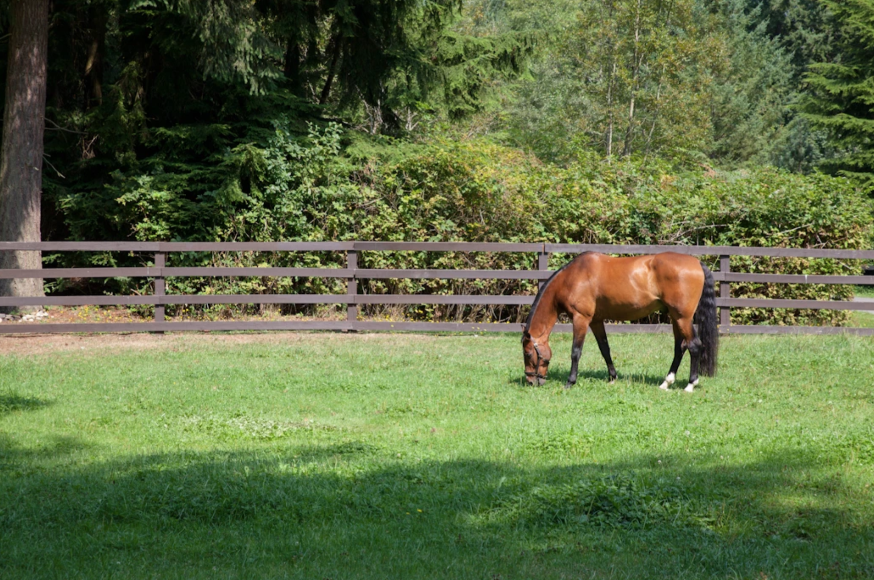 Screen Shot 2020-10-20 at 3.09.35 PM.png