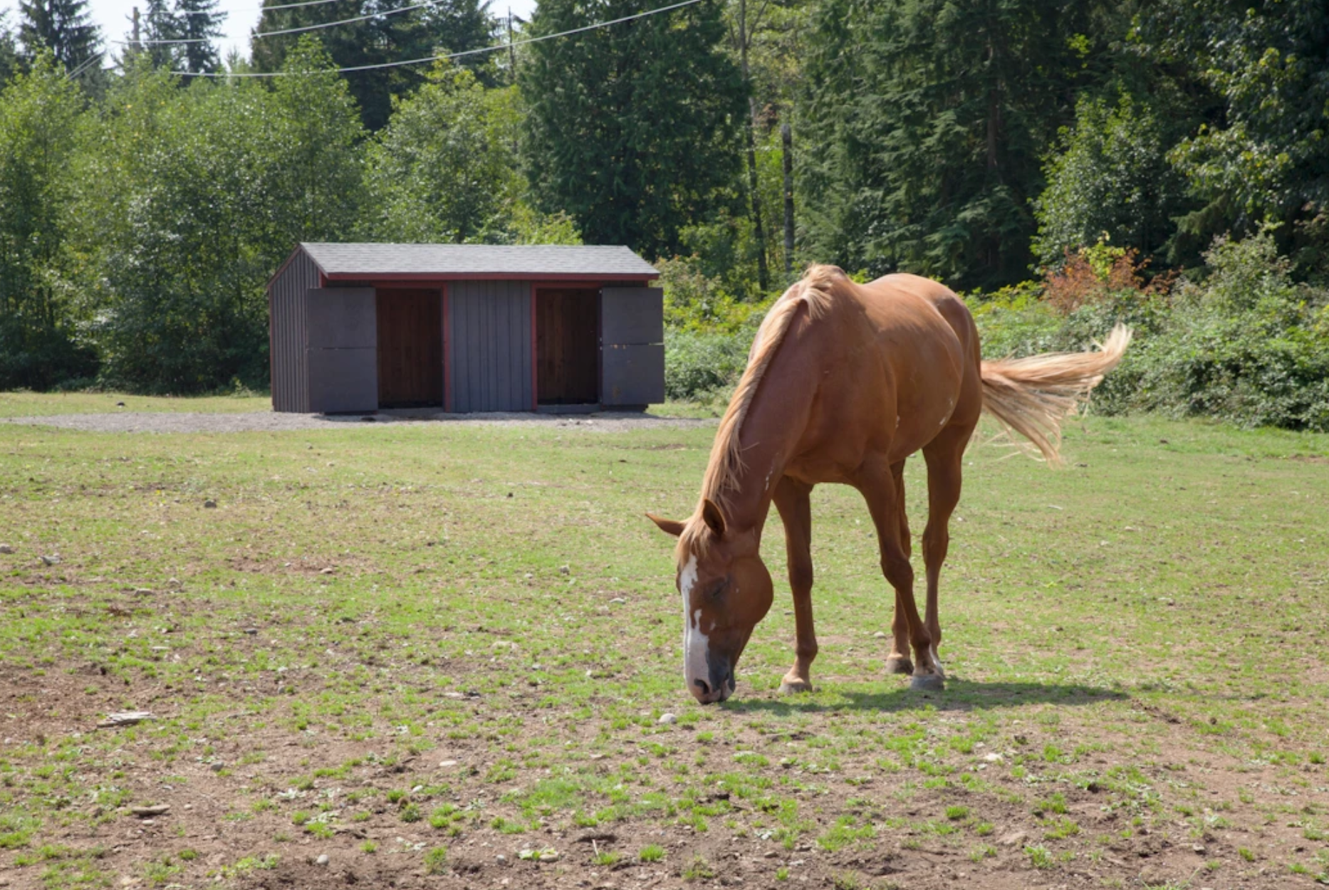 Screen Shot 2020-10-20 at 3.08.56 PM.png