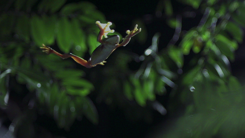 Planet Earth TV Spot