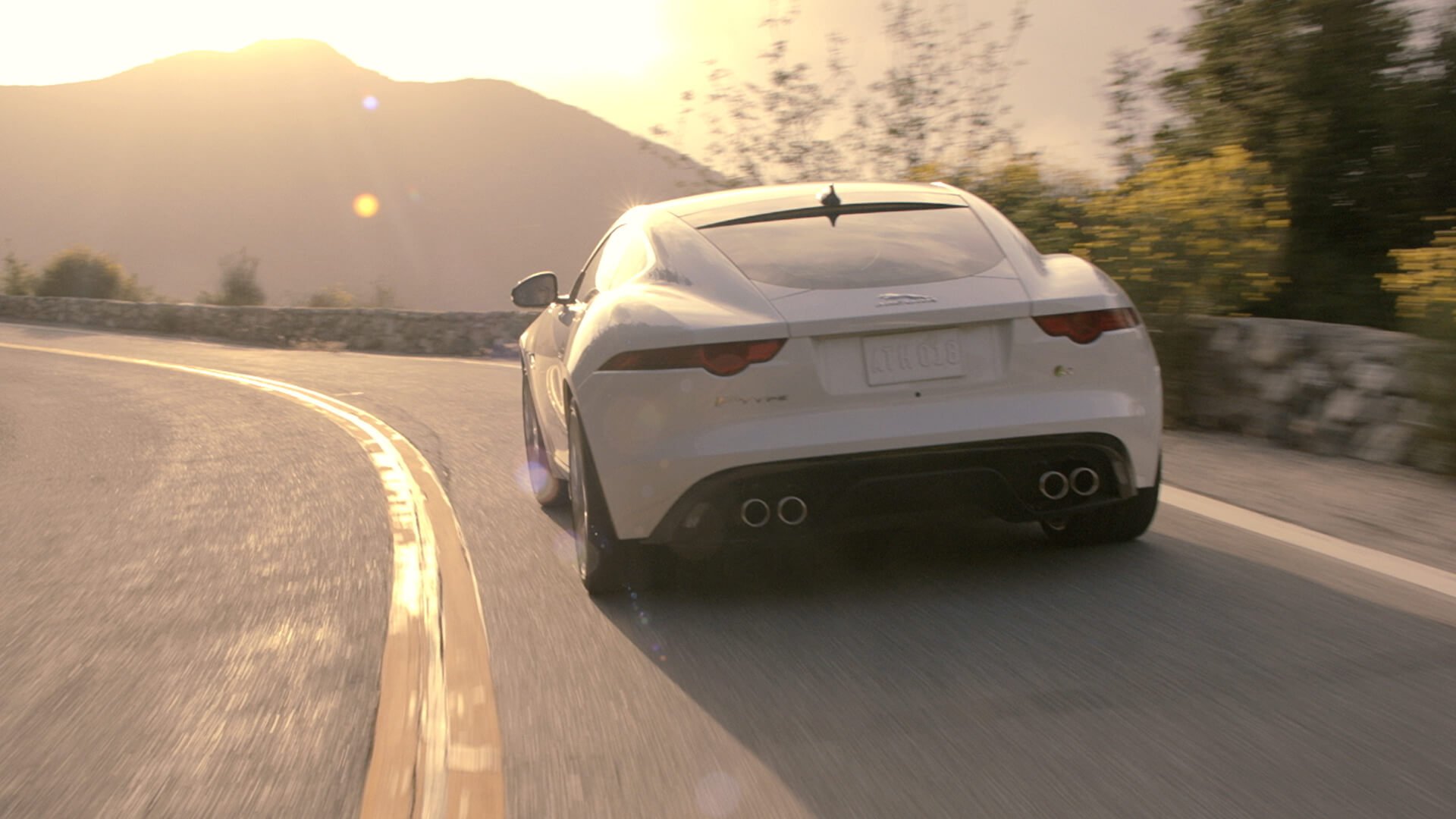 Jaguar Short Film
