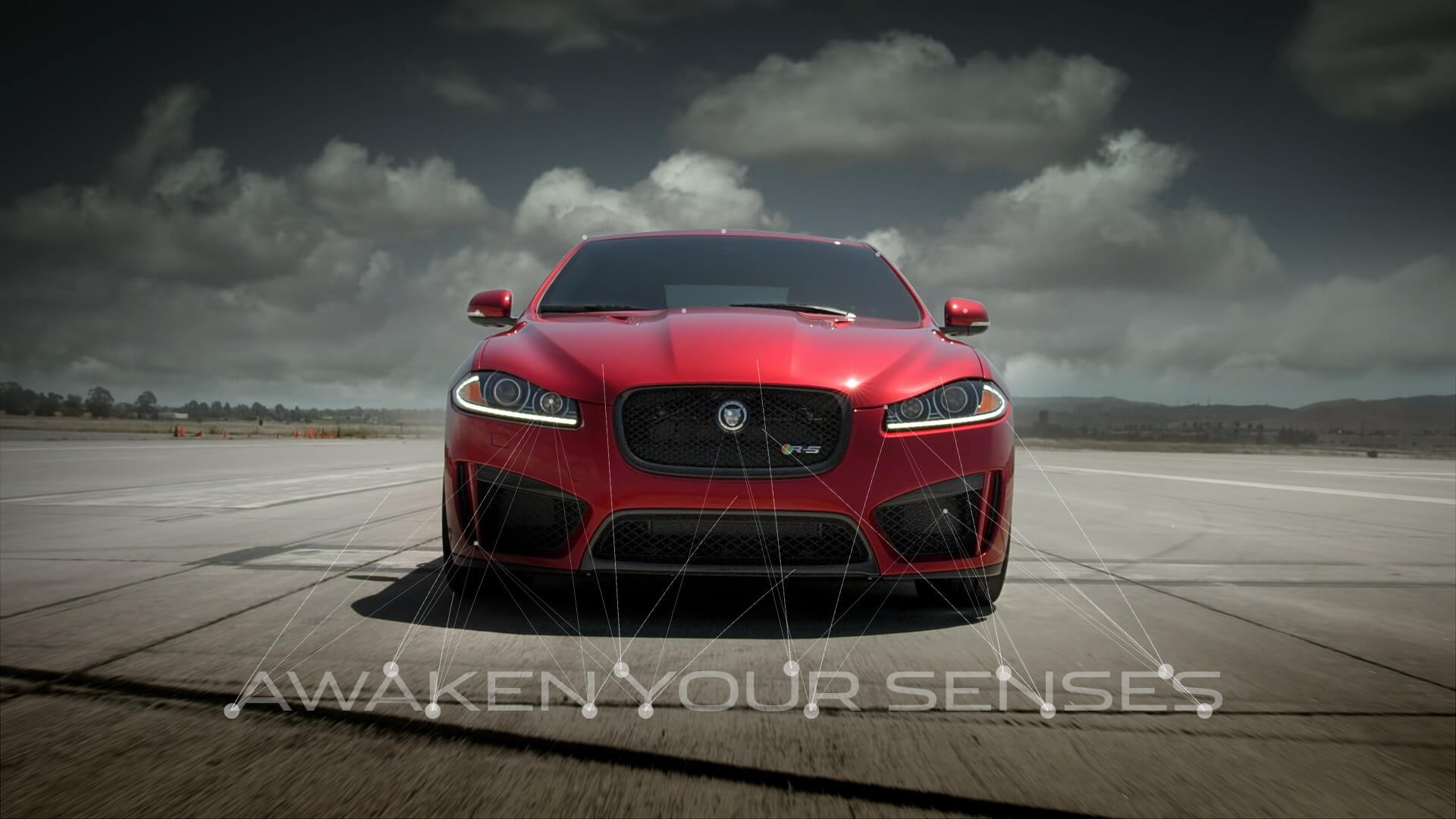 Jaguar Mark Your Territory