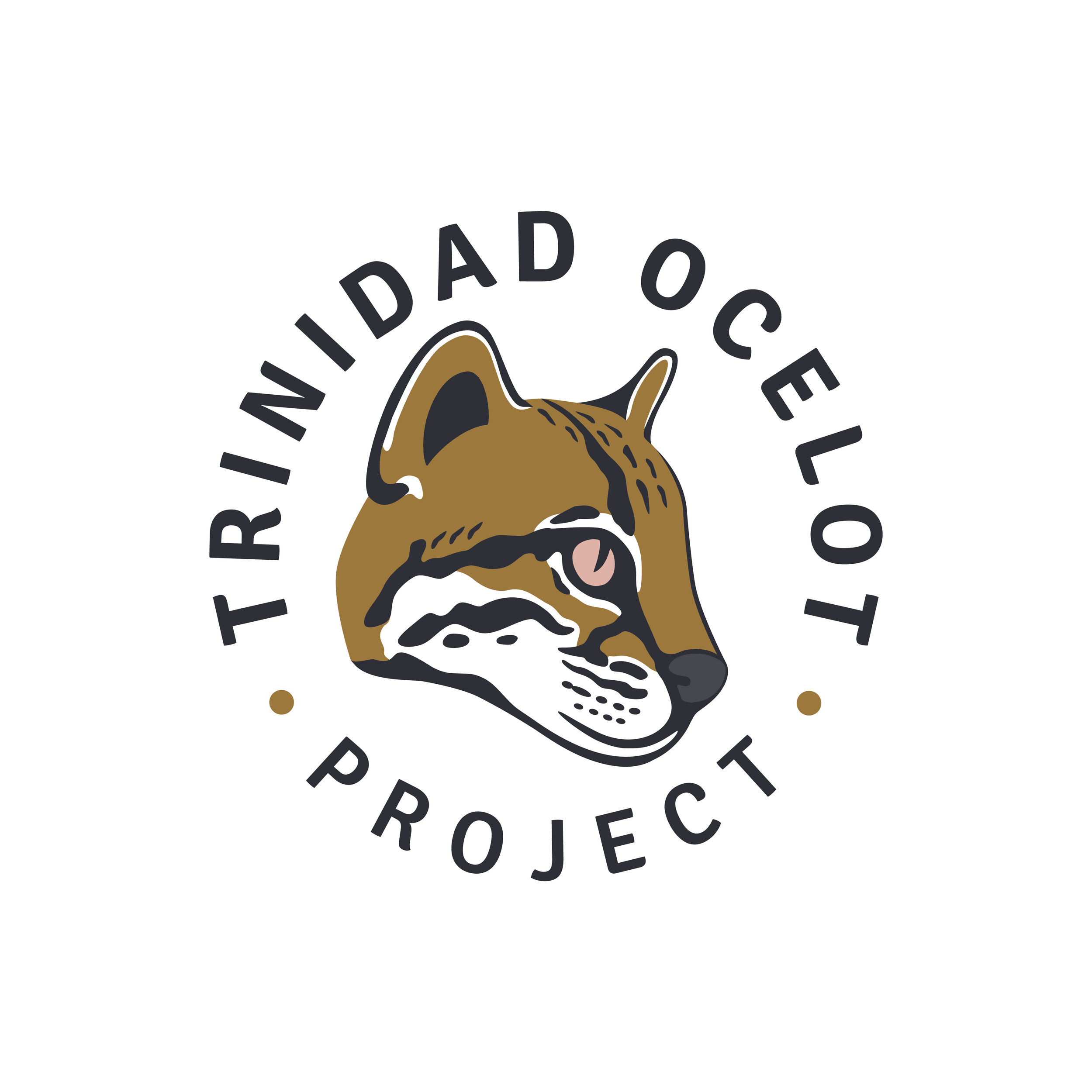 Trinidad Ocelot Project: Discovery Channel Excerpt