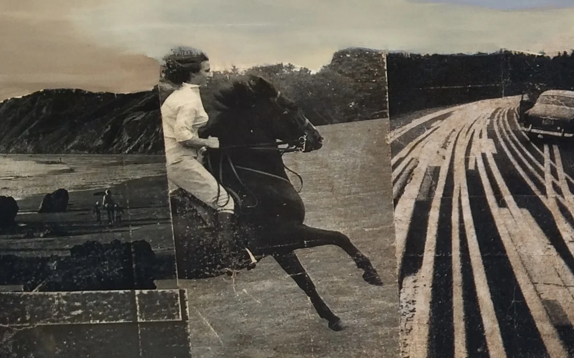 Cartwheels and Barrel Rolls  2013 collage detail