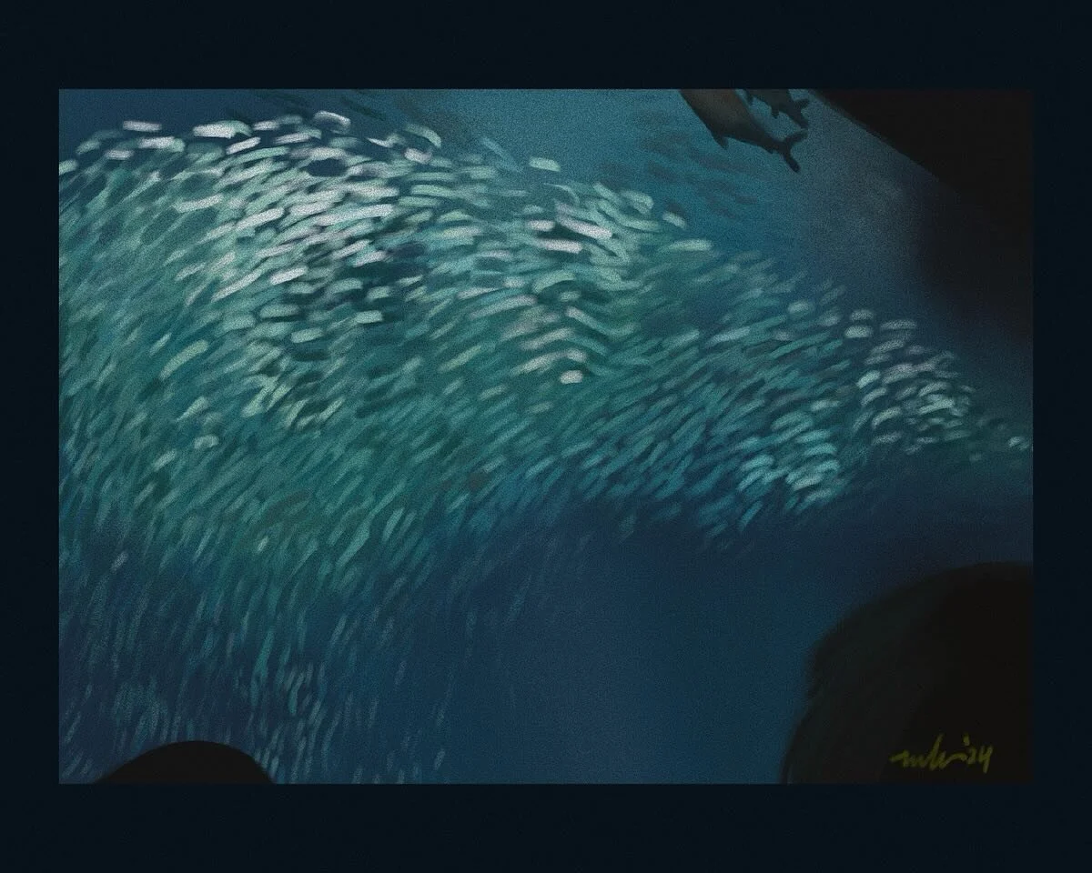 Favorite Places 🐟 Monterey Bay Aquarium 

A couple years ago, a squad of friends made a road trip to visit one of our best friends @chelupaz while she was working at the aquarium. 🤓 Seeing these sardines school in a mass of glittering scales was wo