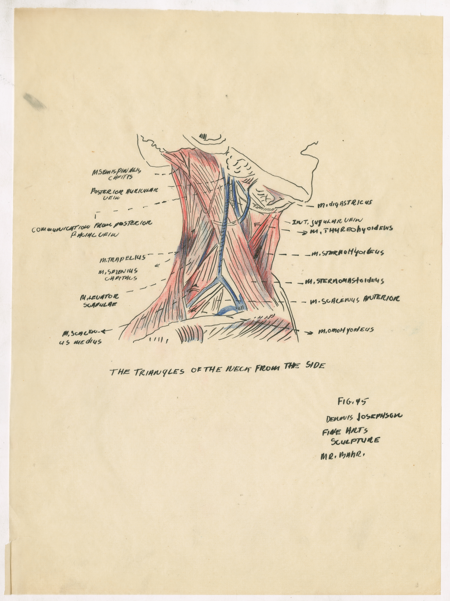 NatJohnson-6.jpg