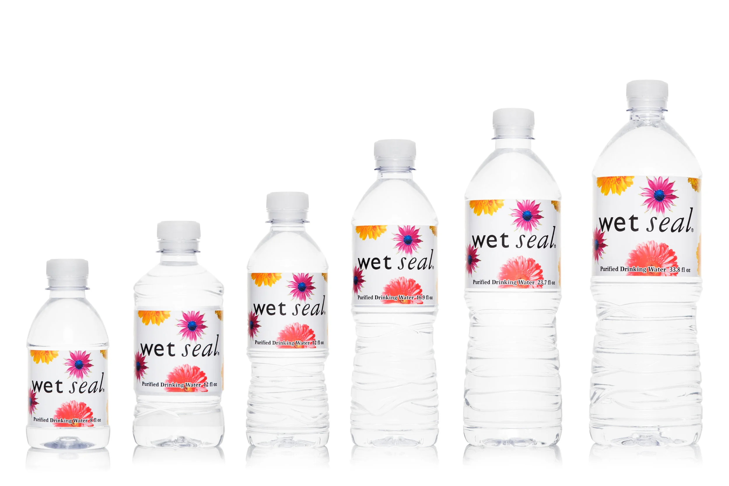 Wet-seal-group-shot.jpg