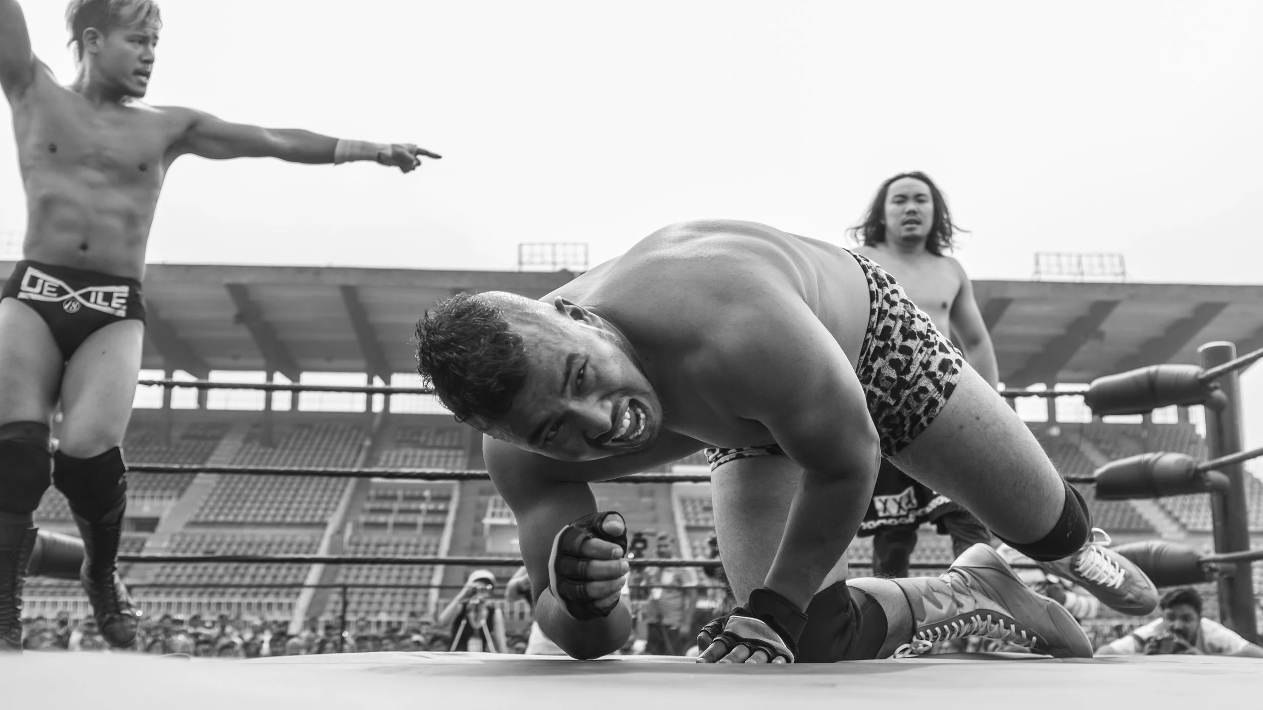 Sports_Wrestling1.jpg
