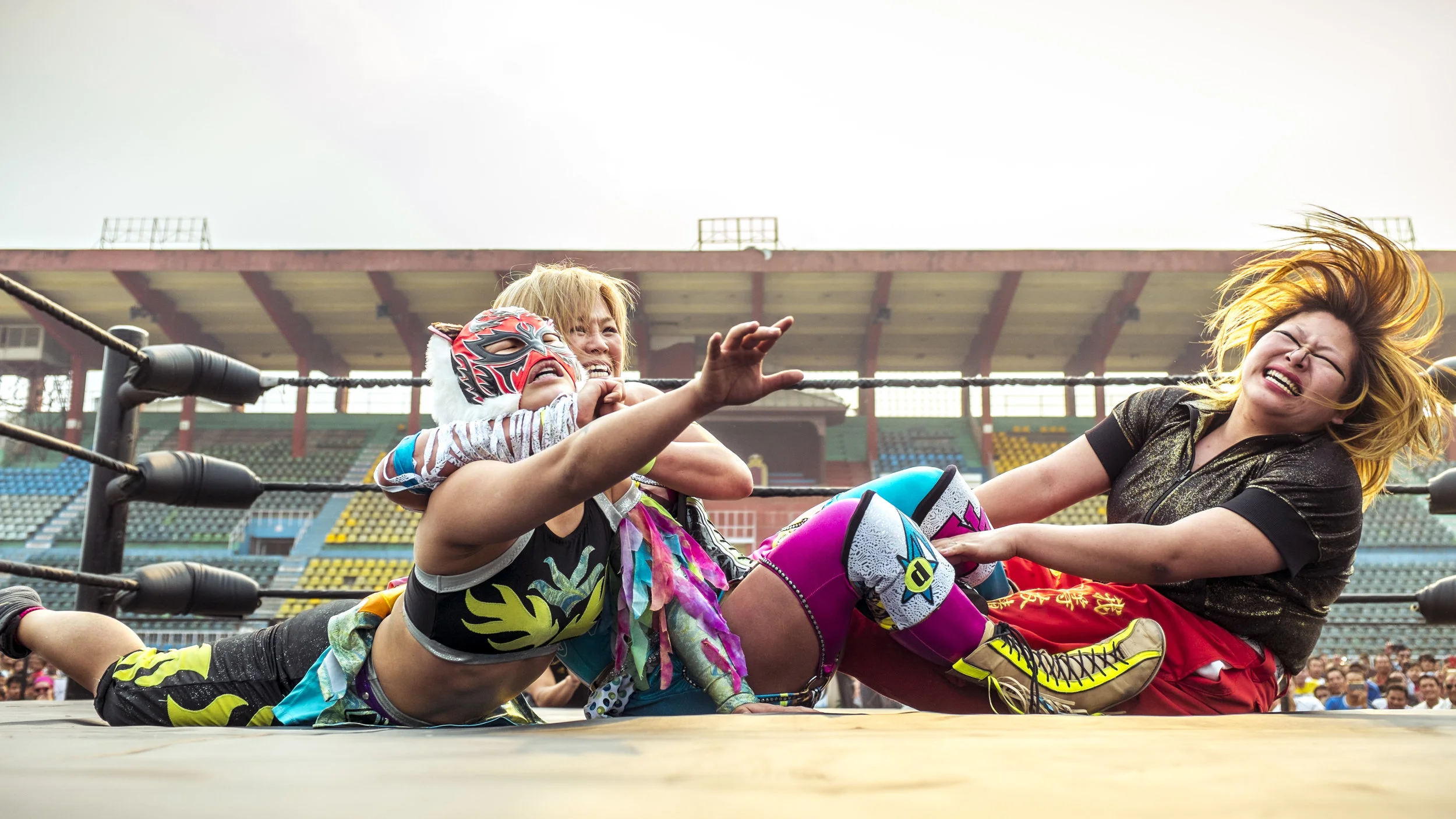 Sports_Wrestling3.jpg