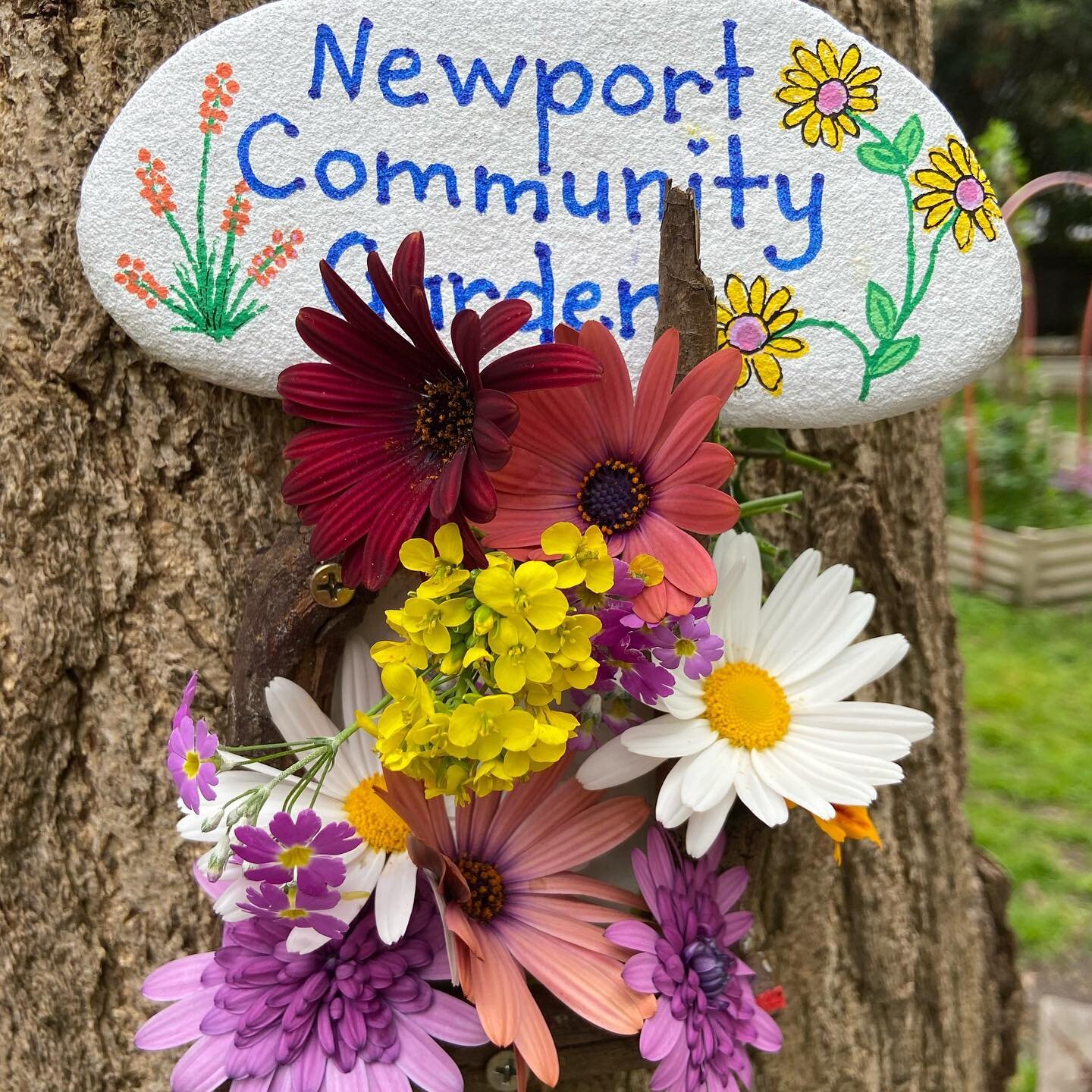 Thank you to Belinda to paint and donate to our garden some beautiful rocks #northernbeachesrocks #nbrs #community #communitygardensofinstagram #instagarden #growyourownveggies #organicgardening #organic #paintedrocks #beautiful #thankyou #northernbe