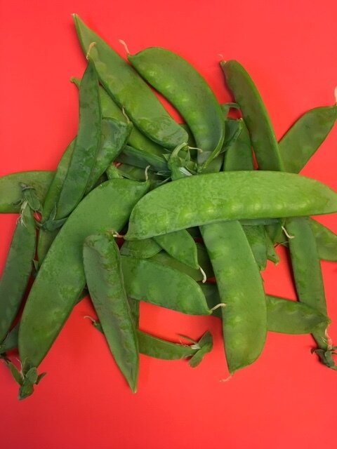 snow peas 1.JPG