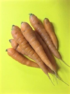 Early Bolero Carrots
