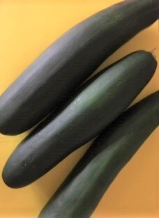 Dark Star Zucchini