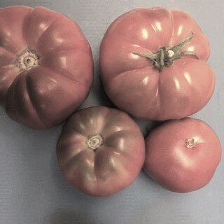 Rose Heirloom Tomatoes