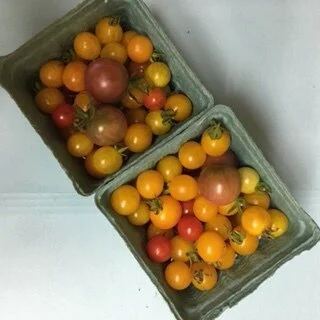 mixed chaerry toms basket.JPG