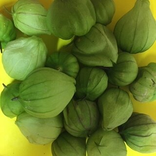 tomatillos.JPG