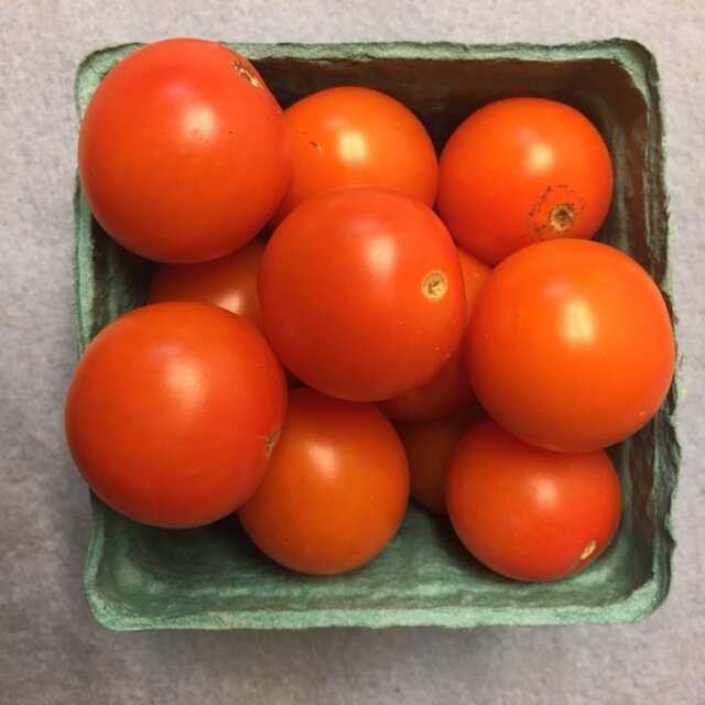 clementine 080621.JPG