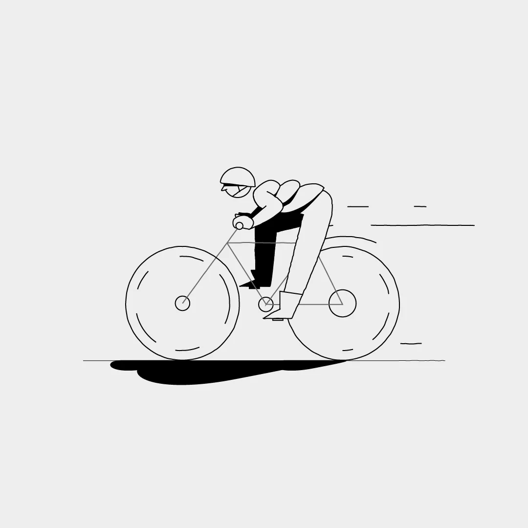 Bike_Seasons_wiggle2-01.jpg