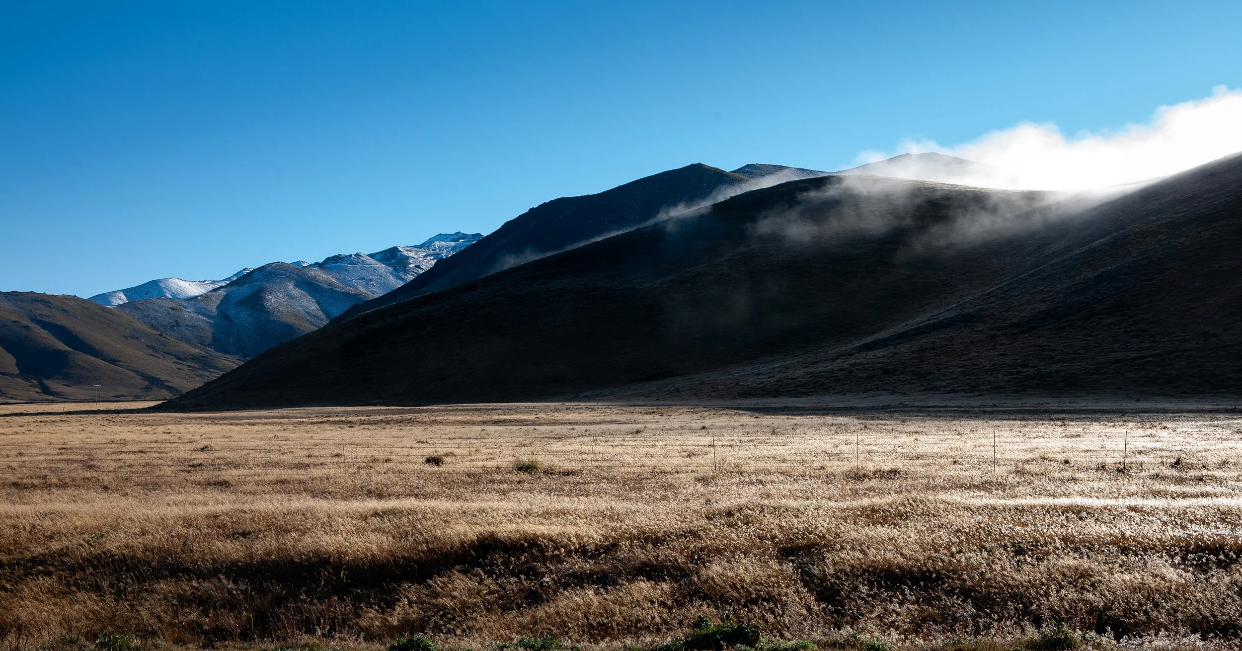 _MG_4401.jpg