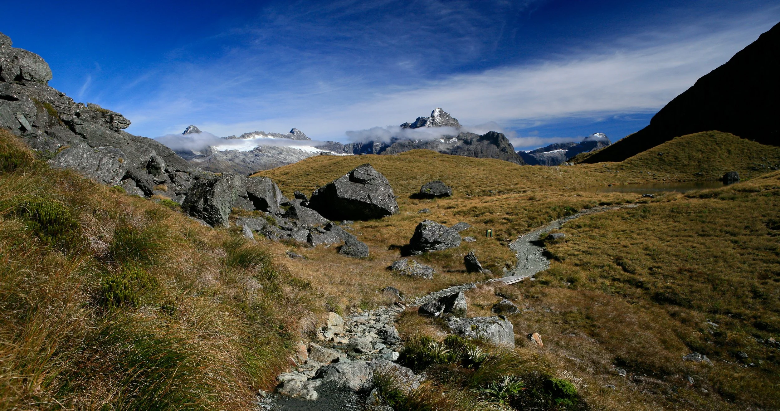 _MG_4903.jpg