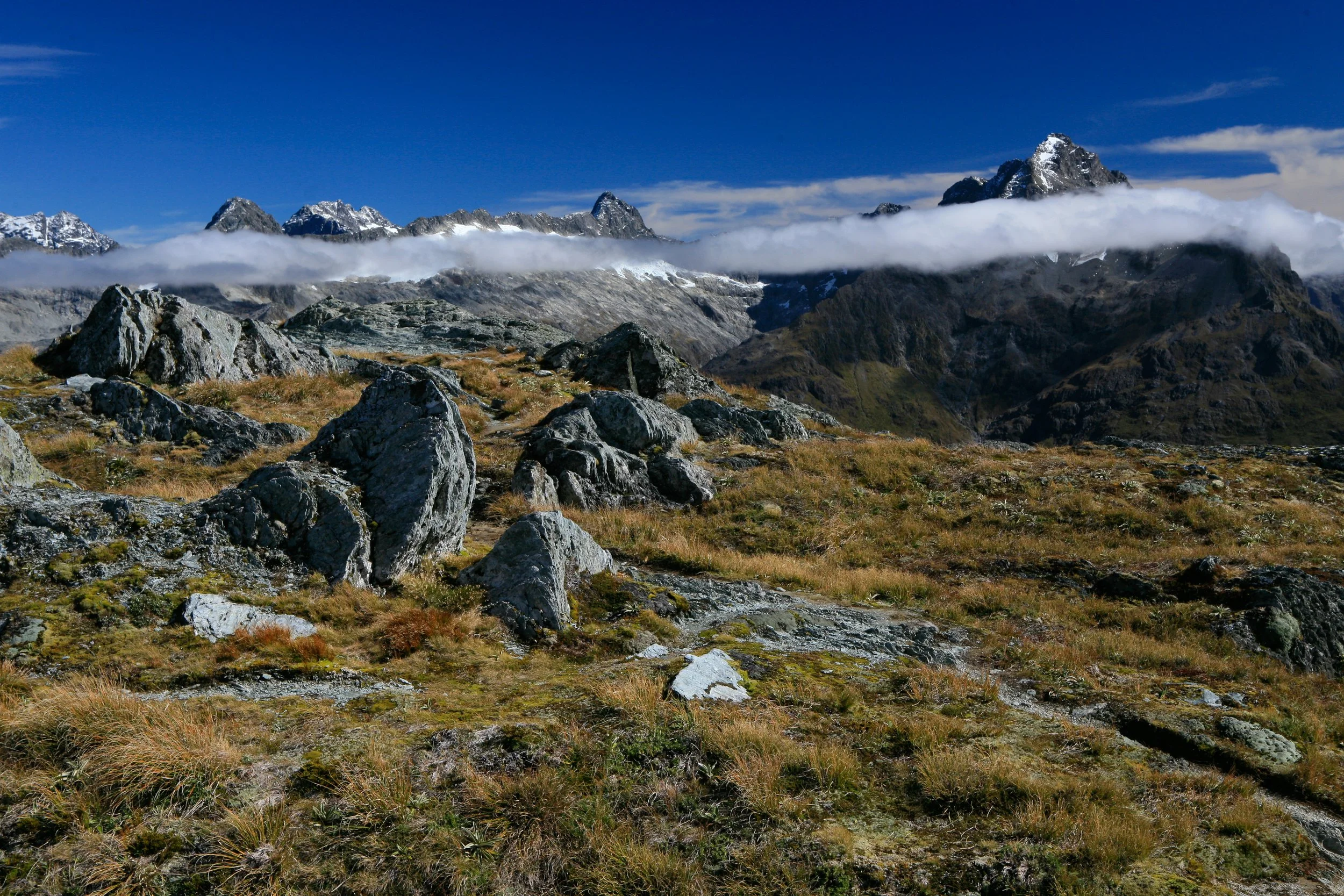 _MG_4948.jpg