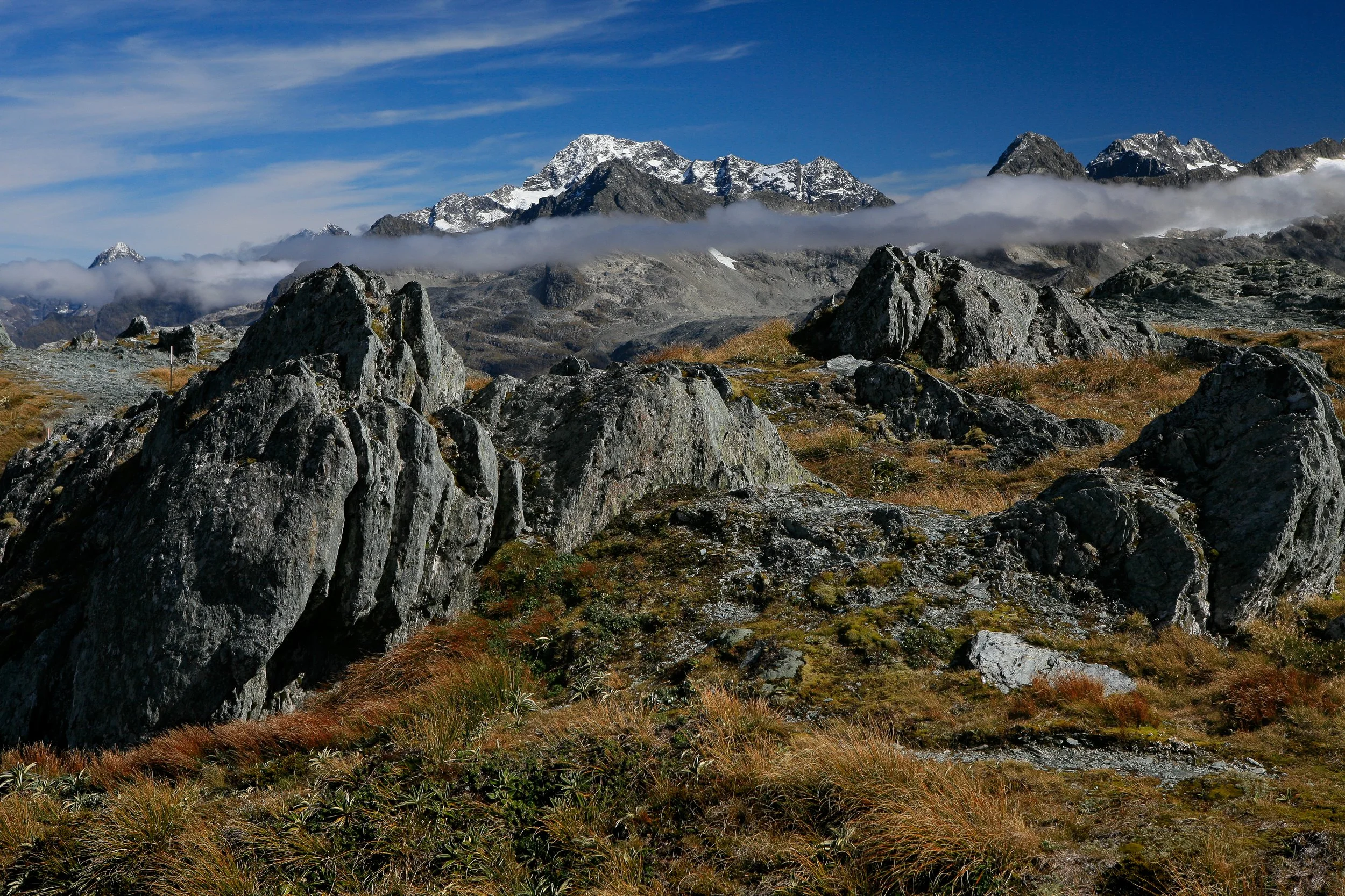 _MG_4950.jpg