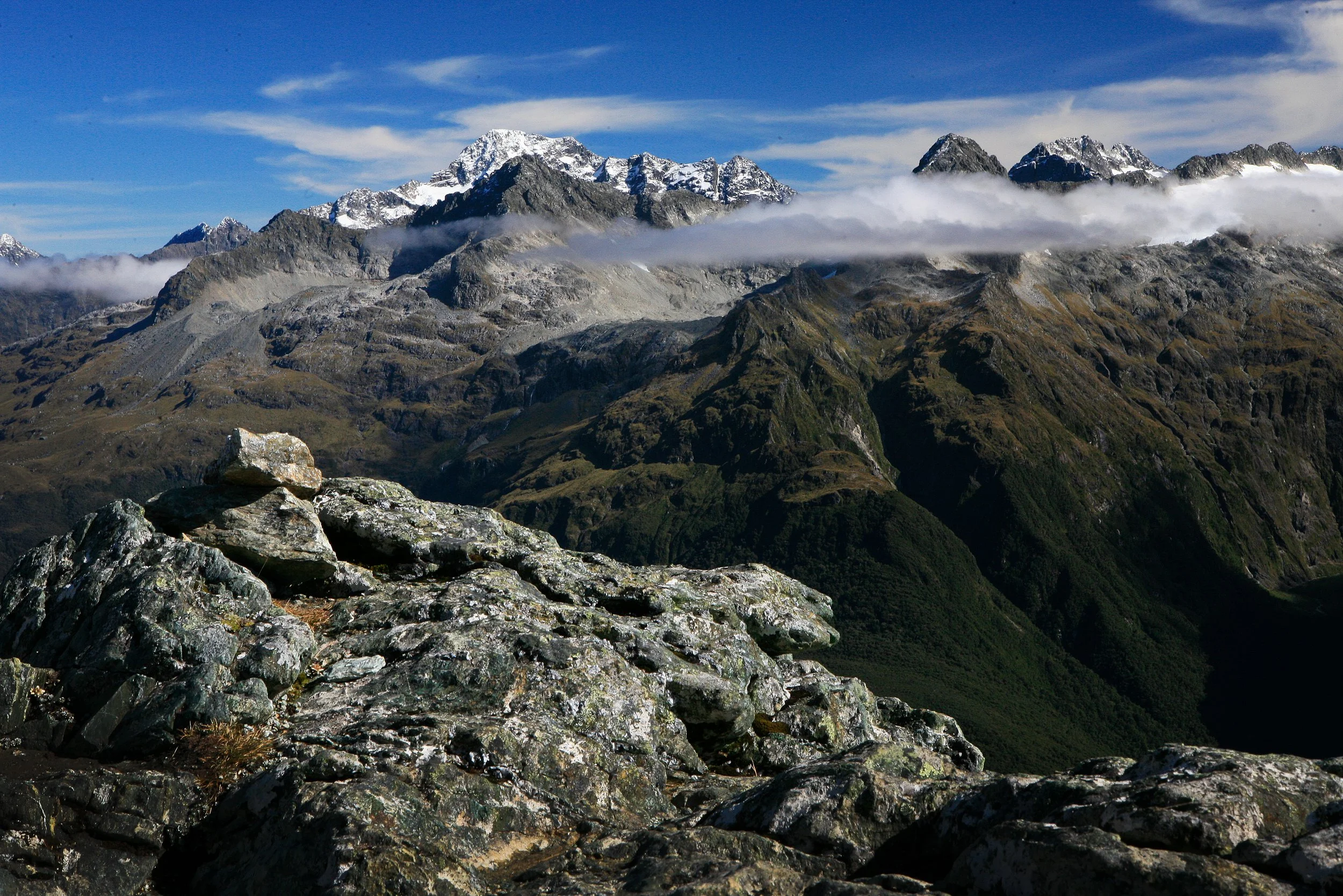 _MG_4978.jpg