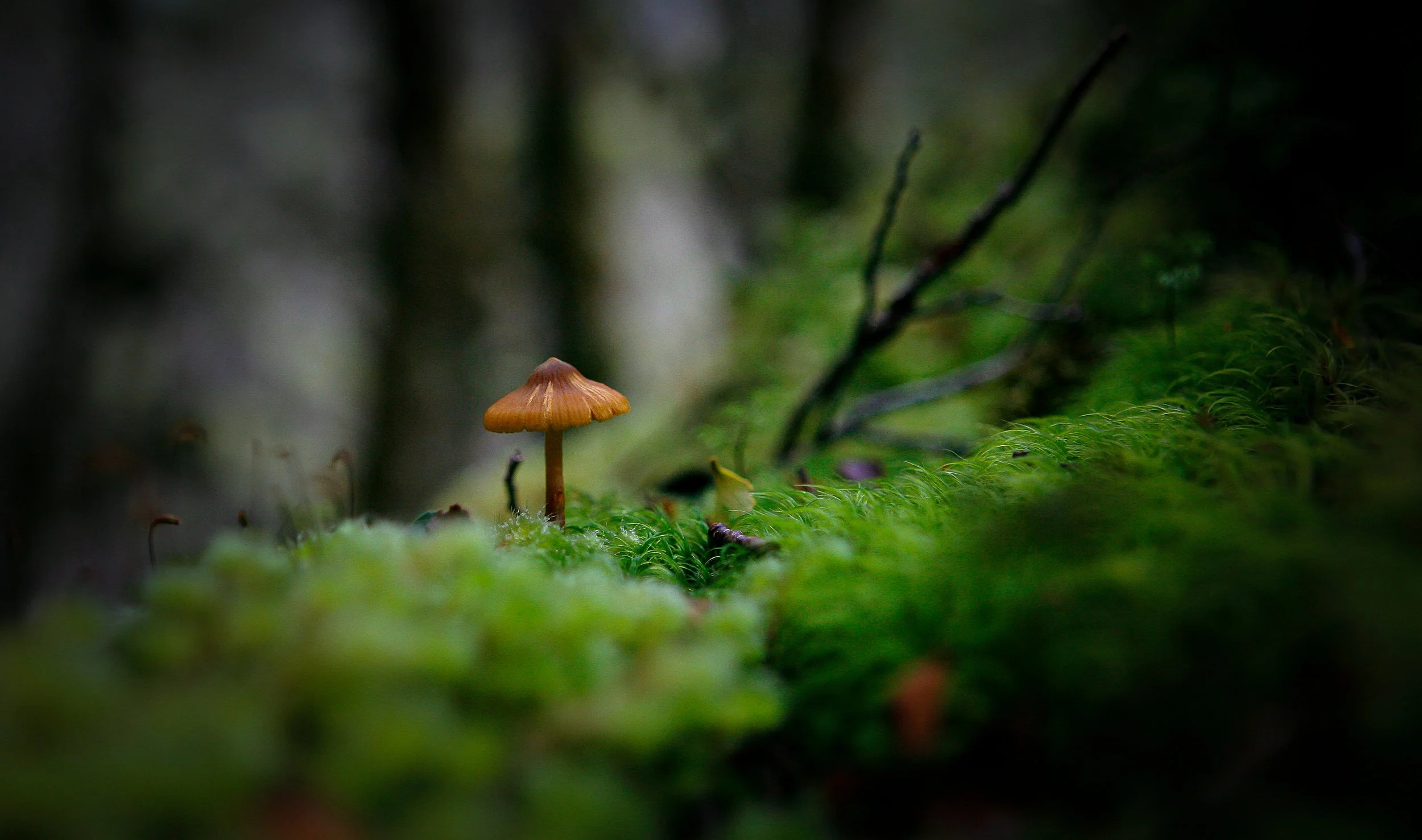 _MG_5097.jpg